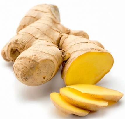 FRESH GINGER